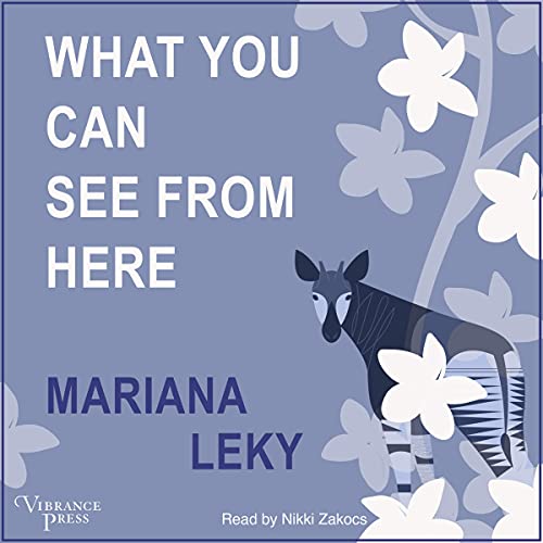 Cover of What You Can See from Here