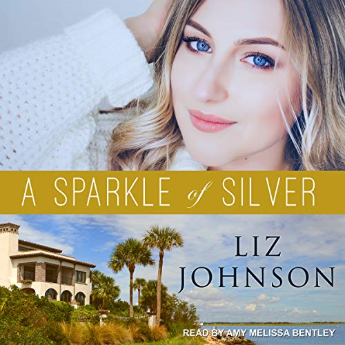 Cover of A Sparkle of Silver
