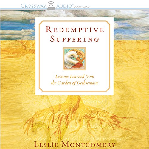 Cover of Redemptive Suffering
