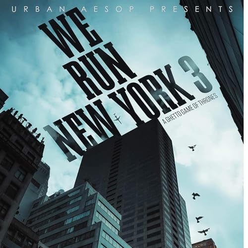 Cover of We Run New York 3