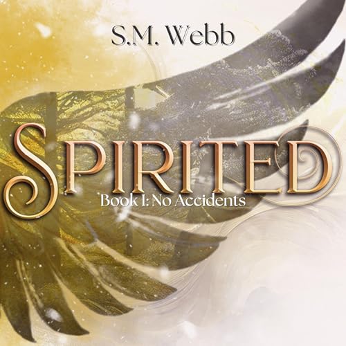 Cover of Spirited: No Accidents