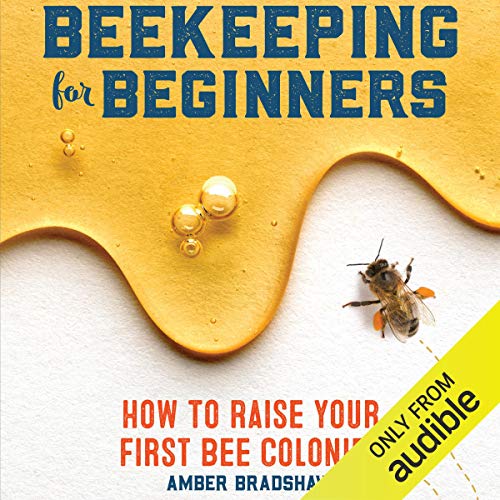 Cover of Beekeeping for Beginners