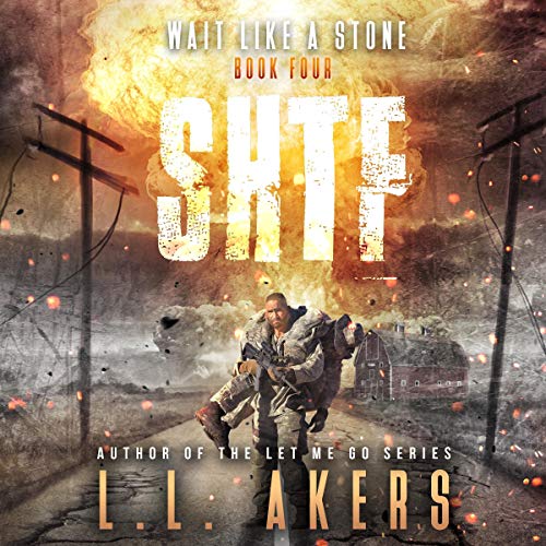 Cover of Wait like a Stone