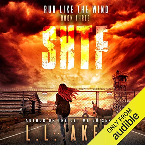 Cover of Run Like the Wind