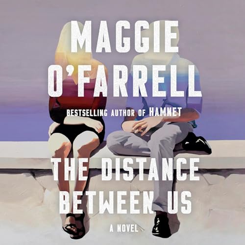Cover of The Distance Between Us