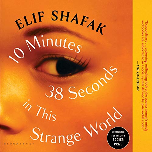 Cover of 10 Minutes 38 Seconds in This Strange World