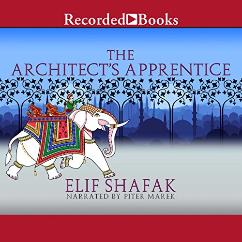Cover of The Architect's Apprentice