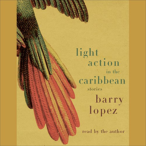 Cover of Light Action In the Caribbean