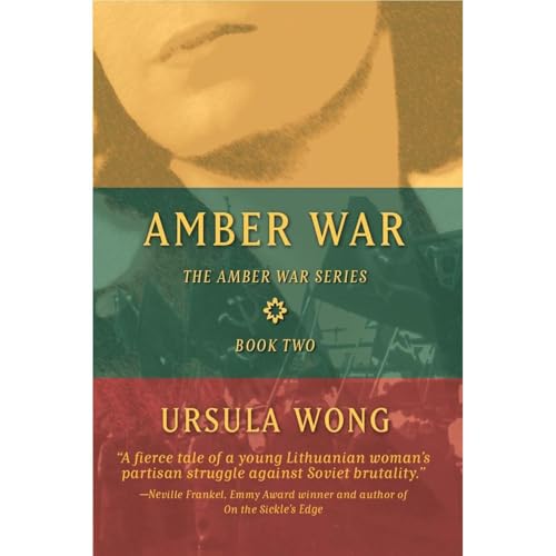 Cover of Amber War