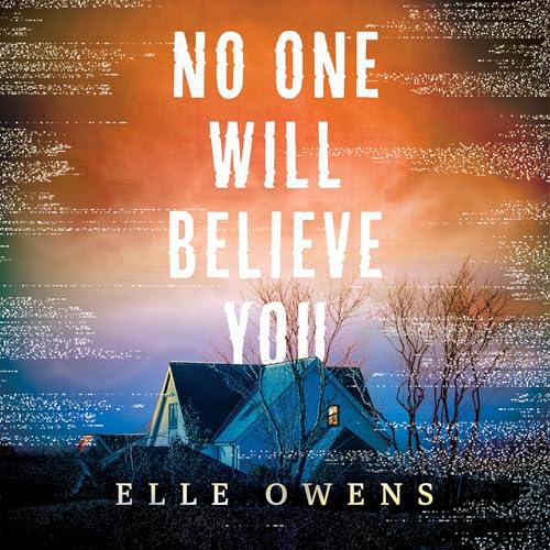 Cover of No One Will Believe You