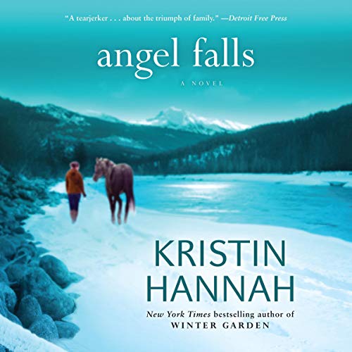 Cover of Angel Falls