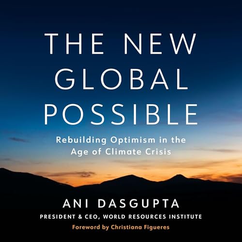 Cover of The New Global Possible