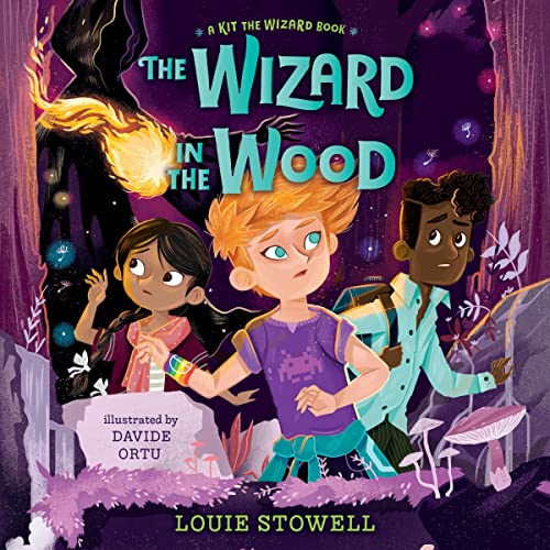 Cover of The Wizard in the Wood