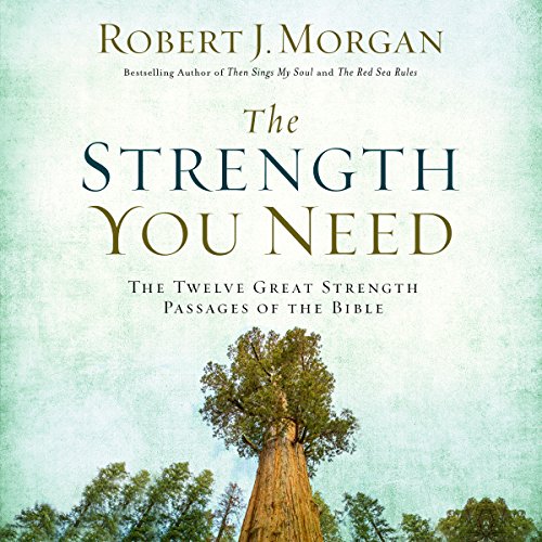 Cover of The Strength You Need