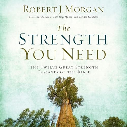Cover of The Strength You Need
