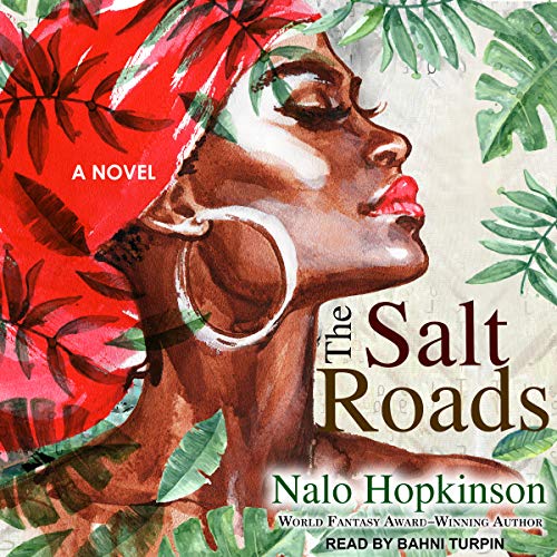 Cover of The Salt Roads