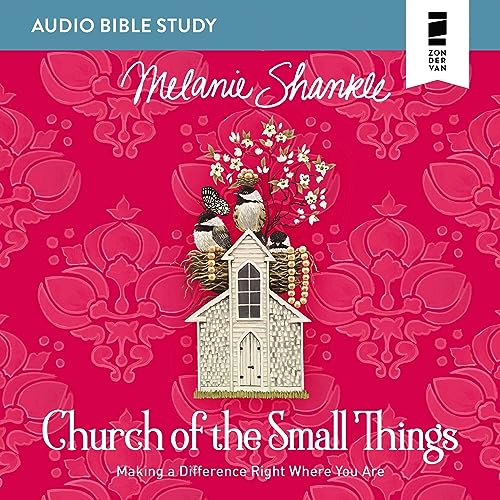 Cover of Church of the Small Things: Audio Bible Studies