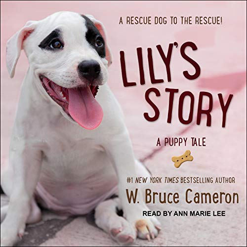 Cover of Lily's Story