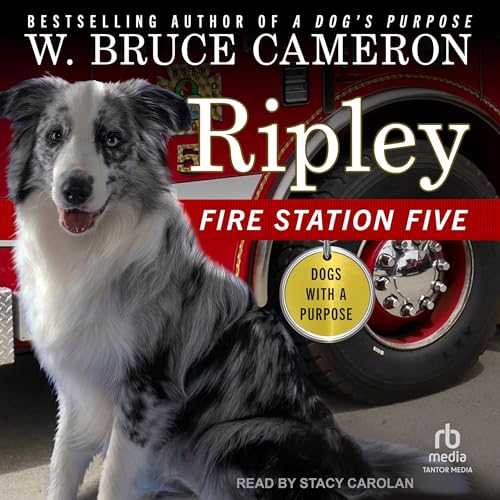 Cover of Ripley: Fire Station Five