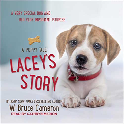 Cover of Lacey’s Story