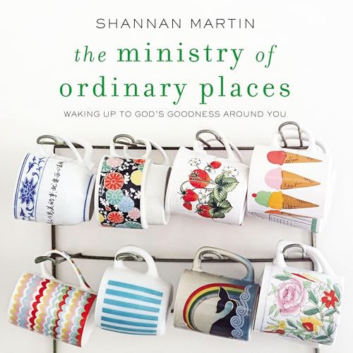 Cover of The Ministry of Ordinary Places