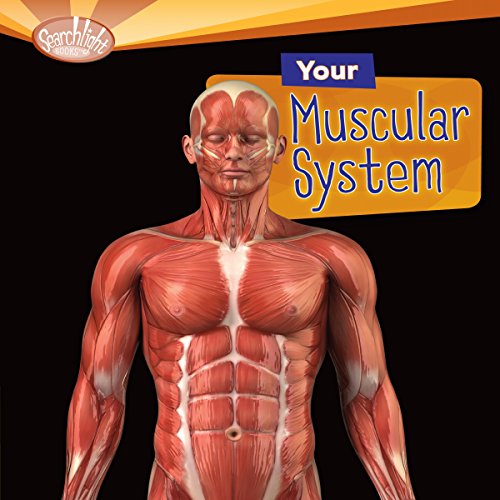 Cover of Your Muscular System