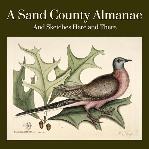 Cover of A Sand County Almanac