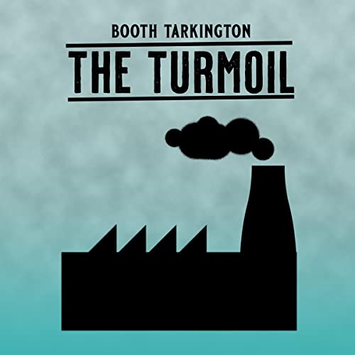 Cover of The Turmoil