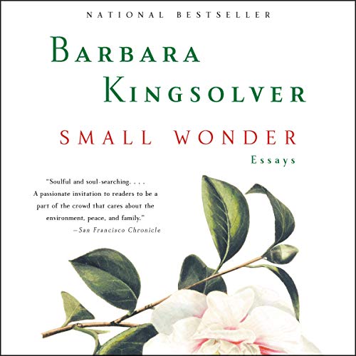 Cover of Small Wonder