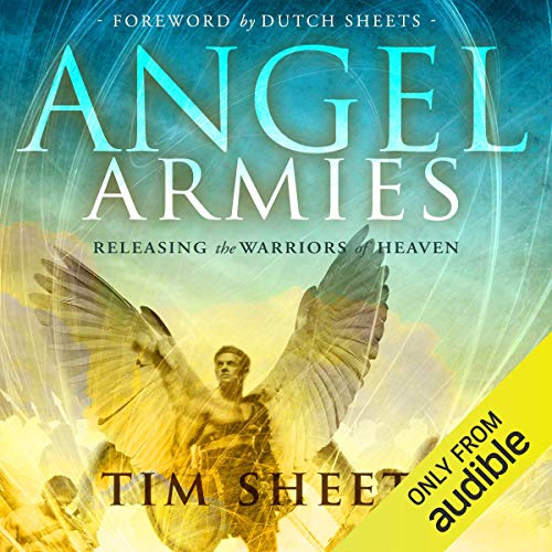Cover of Angel Armies