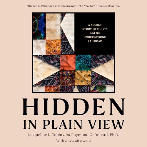 Cover of Hidden in Plain View