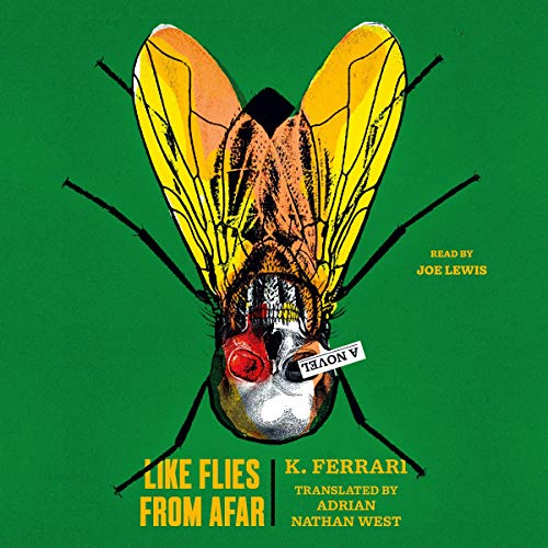 Cover of Like Flies from Afar