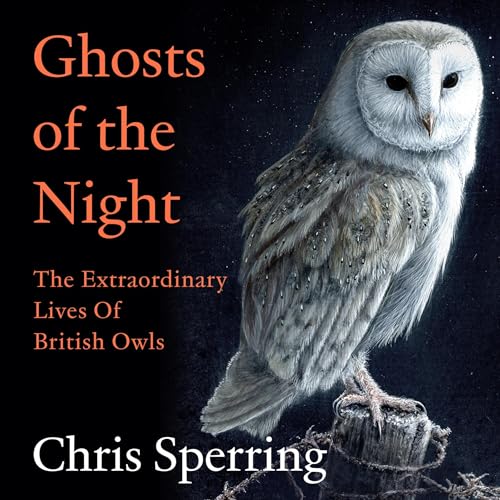 Cover of Ghosts of the Night