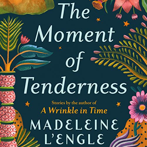 Cover of The Moment of Tenderness