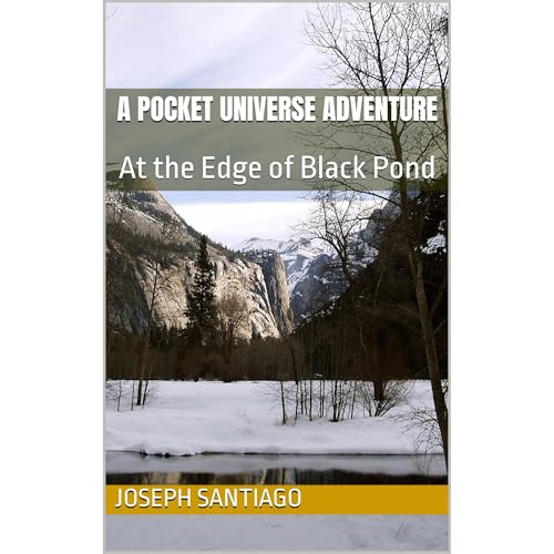 Cover of A Pocket Universe Adventure