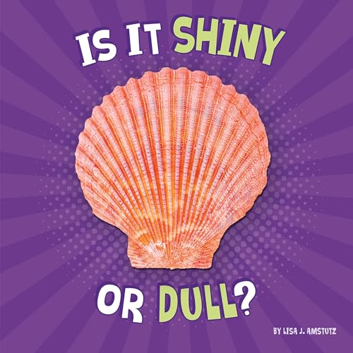 Cover of Is It Shiny or Dull?