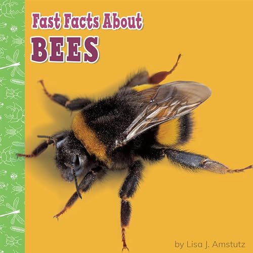 Cover of Fast Facts About Bees