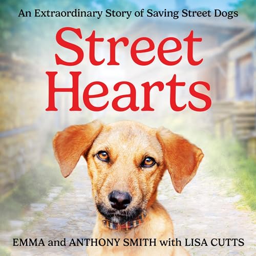Cover of Street Hearts