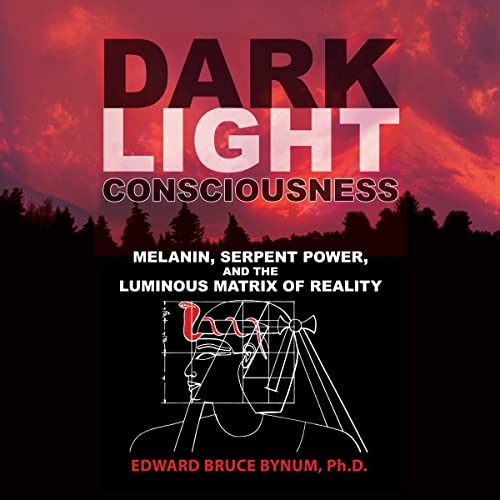 Cover of Dark Light Consciousness
