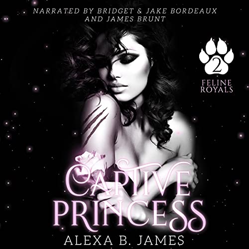 Cover of Captive Princess