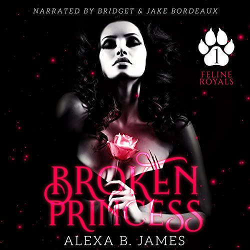 Cover of Broken Princess