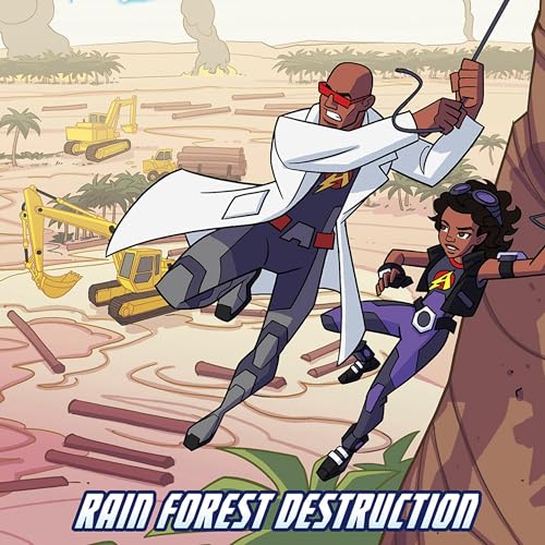 Cover of Rain Forest Destruction