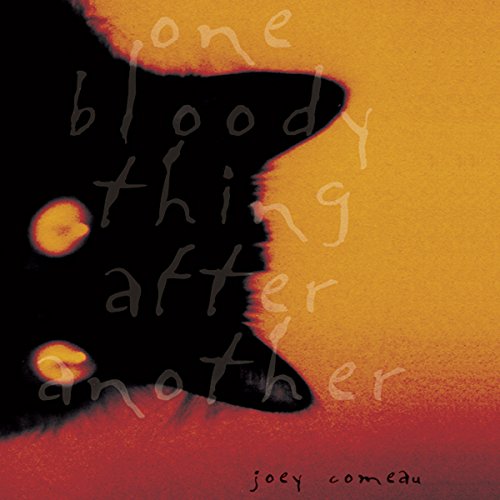 Cover of One Bloody Thing after Another