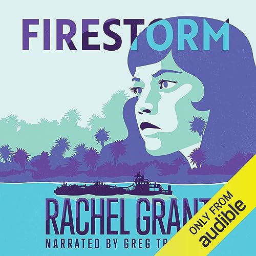 Cover of Firestorm