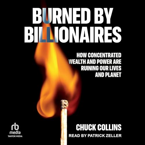 Cover of Burned by Billionaires