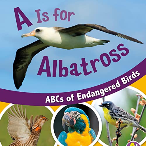 Cover of A Is for Albatross