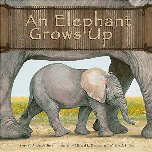 Cover of An Elephant Grows Up