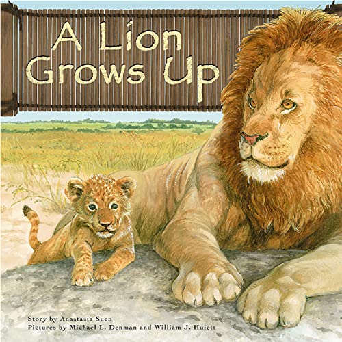 Cover of A Lion Grows Up
