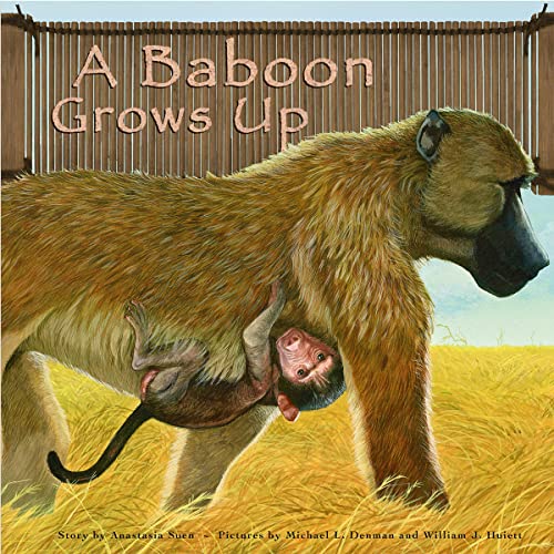 Cover of A Baboon Grows Up