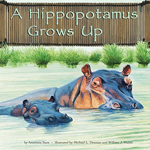 Cover of A Hippopotamus Grows Up